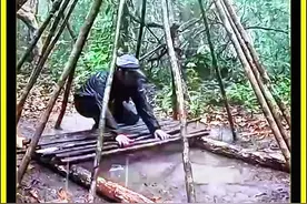 暴雨中如何求生 在雨林建造一个避雨的小屋 #荒野求生 #野外建造 #荒野建造 #野外生活视频封面