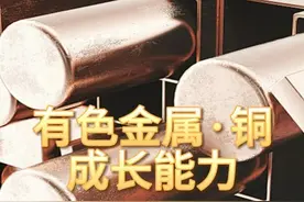 有色金属·铜，成长最快的10家企业 #有色金属 #铜 #成长能力视频封面