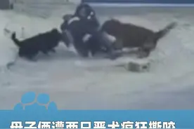 2月17日北京一对母子遭两只恶犬疯狂撕咬，母亲将孩子紧紧护在怀里多次尝试逃脱失败！过程持续1分钟多，好心路人用棍和砖头将狗驱离！视频封面
