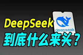 国内最牛AI巨头，竟然是个炒股的？（DeepSeek）视频封面
