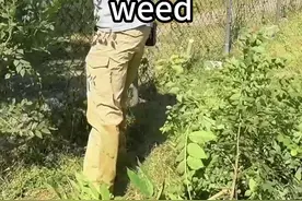 英国百年前荒废小院杂草丛生，工人大清洁 英国荒废小院数十年唯有人住，现在被人买下做清洁打扫，过程十分舒适解压，治好了我的强迫症。#解压 #小院改造 #打扫卫生 #极度舒适 #内容启发搜索视频封面