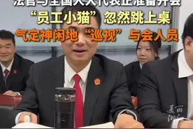 法院人员与人大代表正要开会 #猫咪变身巡视员  萌化了与会人员的心（记者：夏奕炀）视频封面