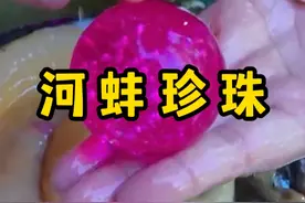 捡到了绿色和紫色的河蚌，能够开出什么珍珠 #开蚌取珍珠 #三农流量扶持计划视频封面