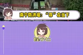 南宁防洪堤：罪”在当下，功在千秋！#南宁防洪堤 #越南泄洪 #广西 #内容启发搜索视频封面