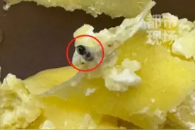 山姆超市榴莲千层顾客吃出虫卵，维权被要求签“霸王条款”，拒绝提供条款及收据留底#江苏苏州 #山姆超市 #食品安全视频封面