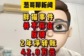 胖猫事件并不存在任何反转，2年时间胖猫向谭竹净转账42.8万视频封面