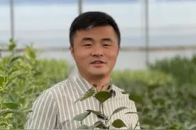 小盼菩提的养殖方法和注意事项 它整个植株文雅端庄视频封面