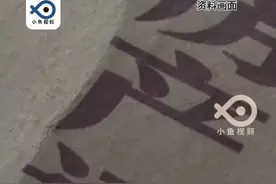 弟弟离世哥哥跨越千里交还侄女遗产。（齐鲁晚报）视频封面