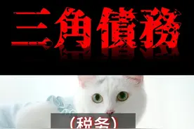 国企和私企之间三角债问题，在实际操作中如何有效避免呢视频封面