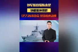外军航母编队来犯，外机俯冲挑衅，055以寡敌众，现场惊心动魄#聊聊国际关系 #硬核深度计划视频封面