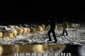 内蒙古乌兰察布：牧民羊群走失 移民管理警察冒雪寻回视频封面