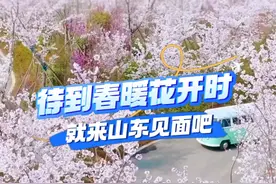 春暖花开时，就来山东见个面吧！#花开的时候就见面吧 #又到了踏青赏花的季节 #双向奔赴 #周星驰 #在山东花式过冬视频封面