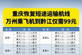重庆恢复短途运输航线
万州乘飞机到黔江仅需99元视频封面