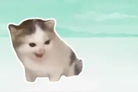 盘点近期网络热梗：德语小猫、踩奶猫、我要吃饭 #德语小猫 #踩奶猫 #有理说不清猫 #猫meme #梗视频封面