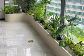 封阳台一样可以做造成 出来的效果真不错 #我的阳台小花园 #植物造景微景观 #室内绿植 #改造前vs改造后 #阳台种植视频封面