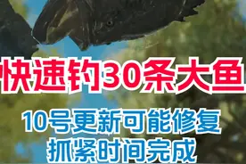 【怪物猎人荒野】快速钓30条大鱼成就方法攻略！钟情大鱼！视频封面