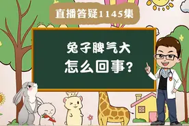 兔子脾气大怎么回事？#宠物兔视频封面