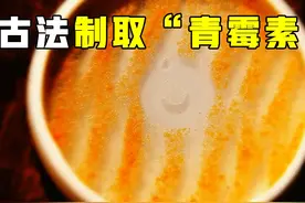 橘子+菜籽油=青霉素？古法制作青霉素，穿越必备技能 #知识科普