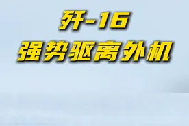 外机无端挑衅，我空军强势驱离！#人民军队淬火成钢视频封面
