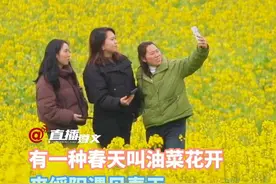 有一种春天叫油菜花开，来遵义绥阳遇见春天。#醉美遵义  #遵义赏春视频封面