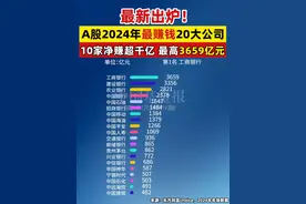 最新出炉！A股2024年最赚钱20大公司，10家净赚超千亿 最高3659亿元（记者：南深，牛思若）#A股