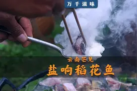 稻谷收割前后，正是稻花鱼肥的时候，傣族人用独特的盐响方式制作视频封面
