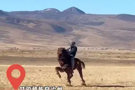 “四驱”走马顺拐疾驰！看似跑得“乱七八糟”，实则一骑绝尘！@马司令视频封面