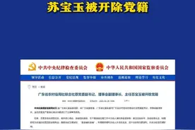 靠金融吃金融！广东省农村信用社联合社原党委副书记苏宝玉被开除党籍（来源：中央纪委国家监委网站 制作：胡桅可 统筹编辑：李劼）#广东  #广东省农村信用社  #苏宝玉  #开除党籍视频封面