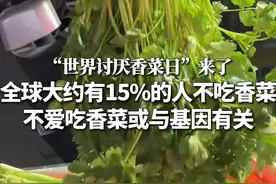 一年一度“世界讨厌香菜日”来了！全球大约有15%的人不吃香菜 ，不爱吃香菜或与基因有关。#香菜 （来源：四川观察、生命时报）视频封面