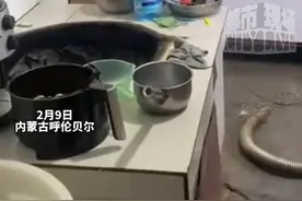 准女婿第一次上门“好好表现”，为倒刷锅水把铁锅拆了！#万万没想到  #这操作都看傻了  #惊不惊喜意不意外视频封面