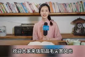 河南卫视#谷雨奇遇记女神@陈都灵 邀你来喝信阳毛尖 #美好生活看信阳 #美好生活信阳茶 视频封面