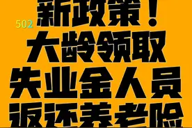 新政策！大龄领取失业金人员返还养老险！ #劳动法咨询#劳动纠纷视频封面