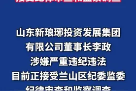 山东新琅琊投资发展集团有限公司董事长李政接受纪律审查和监察调查#临沂首发 #沂蒙清风视频封面