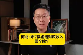河北1市7县虚增财政收入，图个啥？ #财经辣评 #掘金计划2024视频封面
