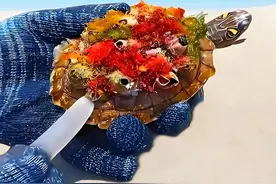 数量众多的藤壶束缚着小小的海龟，使其生命面临着威胁，太可怜了视频封面