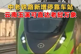 #中老铁路国际旅客列车新增停靠车站 ，#云南玉溪可直达老挝万象视频封面