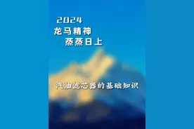 汽油滤芯器被误解了多少年？ #汽车知识 #汽车知识分享 #汽油滤芯器 #滤芯器 #汽油滤芯视频封面