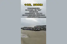 今起，东海休渔！接下来8种海鲜禁售视频封面