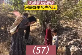 米娜带3娃最新后续，采摘野生伏牛花，修缮小屋（上）视频封面