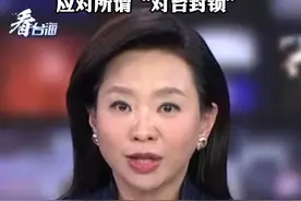 台湾公布战时粮食储备7个月 天然气11天 应对所谓“对台封锁”#看台海视频封面