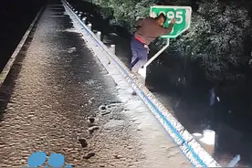 3月3日河南驻马店，卡车司机高速遇路标被积雪覆盖，主动下车清理，当事人：跑长途的对路标比较敏感，清理后方便大家参照位置视频封面