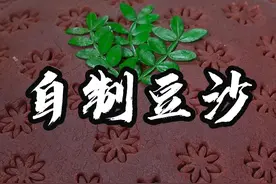 自制豆沙 家庭版自制豆沙的做法分享，做法简单，比买的普通豆沙还好吃！#豆沙做法  #手工制作 #豆沙 #抖音美食推荐官  @抖音短视频视频封面