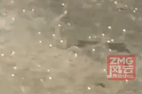 气温接近42度，杭州一地突然下起冰雹！#ZMG风云传播中心  #浙江经视视频封面