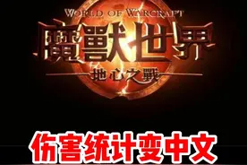 魔兽正式服如何把伤害统计变成中文！#魔兽世界 #魔兽世界新手攻略 #内容启发搜索 #网易大神 #我比你们多一个世界