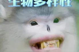 #国际生物多样性日   #中国是世界上生物多样性最丰富的国家之一  #守护生物多样性视频封面