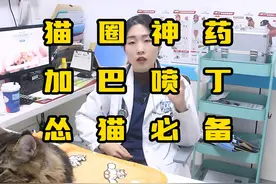 怂猫必备，加巴喷丁！ 好是好但万万不能滥用！#养宠进阶指南视频封面