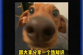 男生谈恋爱前要明白 #艾特你想艾特的人 #谈恋爱 #冷知识视频封面