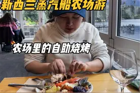 新西兰自驾游第11天，终于到达皇后镇，参加蒸汽船农场游活动视频封面