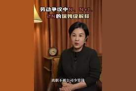 劳动争议中N、N+1、2N的保姆级解释 离职到底该拿N、N+1还是2N，全网看这一个视频就够了，保姆级讲解认真学，不被公司少算钱#劳动纠纷 #劳动法咨询 #劳动仲裁 #职场视频封面