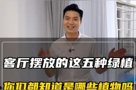 如果你的客厅还在摆放天堂鸟和富贵竹， 你就太落后了#装修 #客厅 #装修避坑 #装修知识 #装修干货视频封面